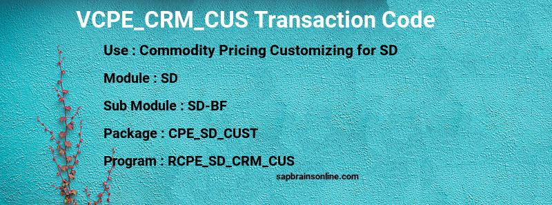 SAP VCPE_CRM_CUS transaction code