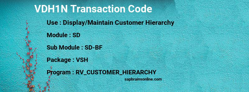 SAP VDH1N transaction code
