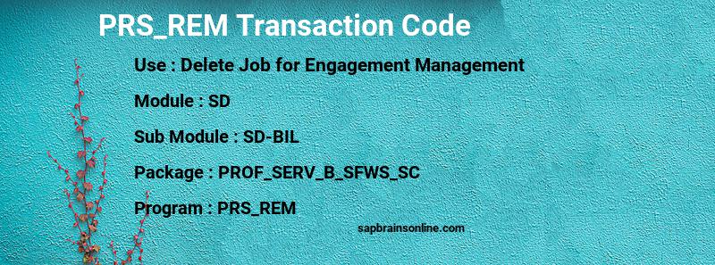 SAP PRS_REM transaction code