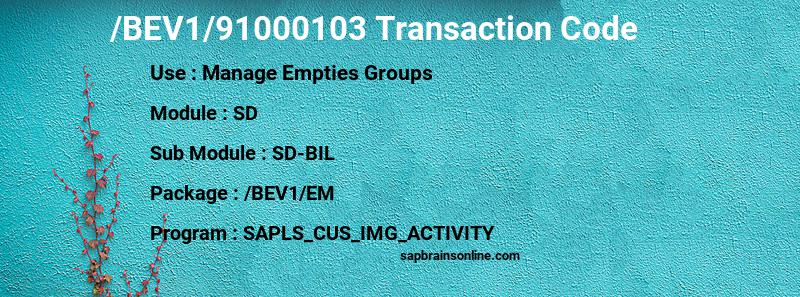 SAP /BEV1/91000103 transaction code