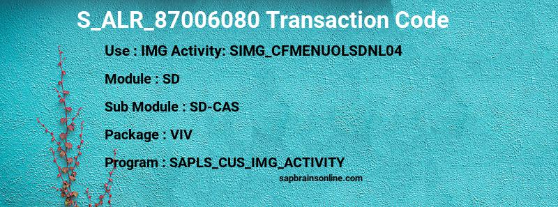 SAP S_ALR_87006080 transaction code