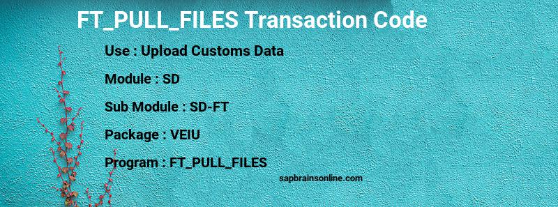 SAP FT_PULL_FILES transaction code