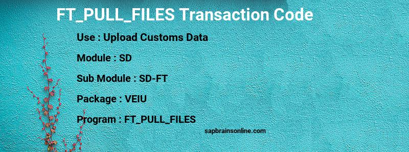 SAP FT_PULL_FILES transaction code