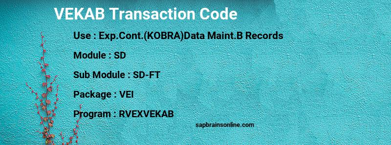 SAP VEKAB transaction code