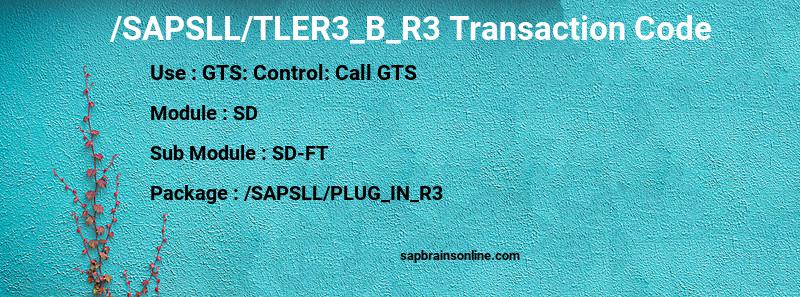 SAP /SAPSLL/TLER3_B_R3 transaction code