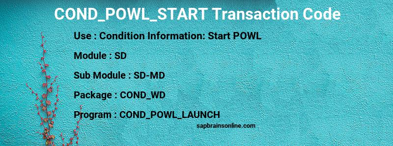 SAP COND_POWL_START transaction code