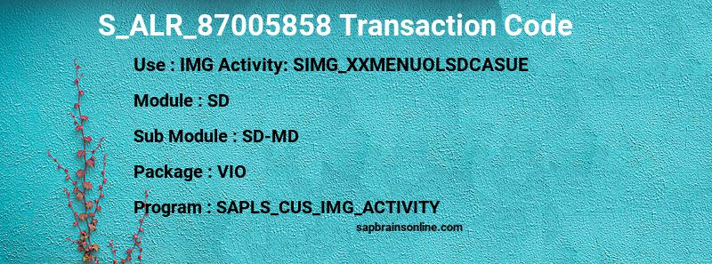 SAP S_ALR_87005858 transaction code