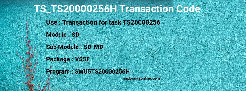 SAP TS_TS20000256H transaction code
