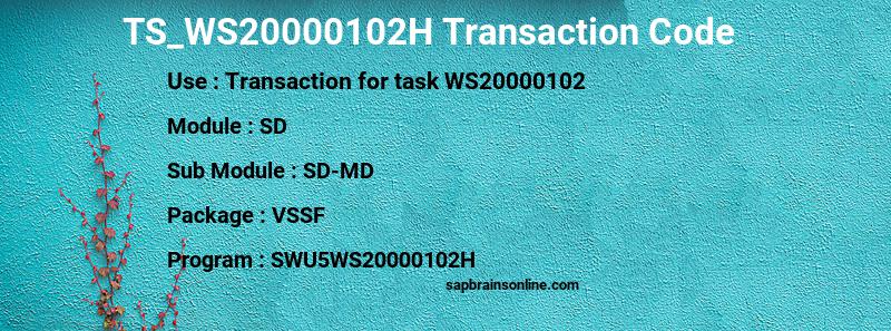 SAP TS_WS20000102H transaction code