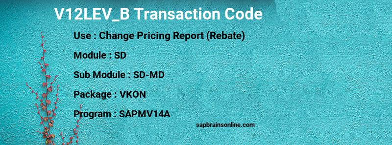 SAP V12LEV_B transaction code