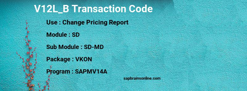 SAP V12L_B transaction code