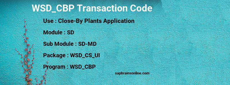 SAP WSD_CBP transaction code