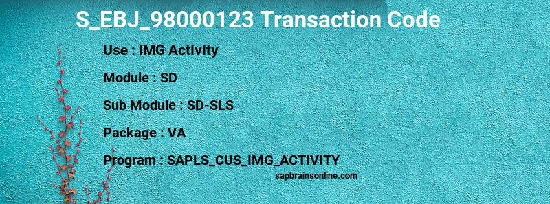 SAP S_EBJ_98000123 transaction code