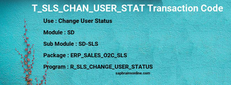 SAP T_SLS_CHAN_USER_STAT transaction code