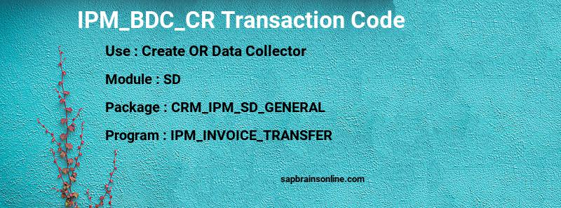SAP IPM_BDC_CR transaction code