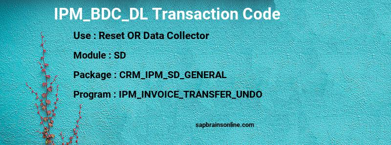 SAP IPM_BDC_DL transaction code