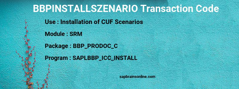 SAP BBPINSTALLSZENARIO transaction code