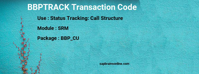 SAP BBPTRACK transaction code