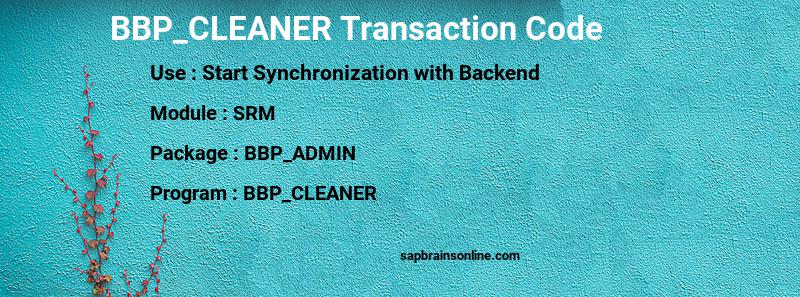 SAP BBP_CLEANER transaction code