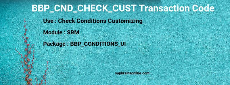 SAP BBP_CND_CHECK_CUST transaction code