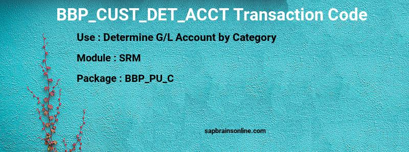 SAP BBP_CUST_DET_ACCT transaction code