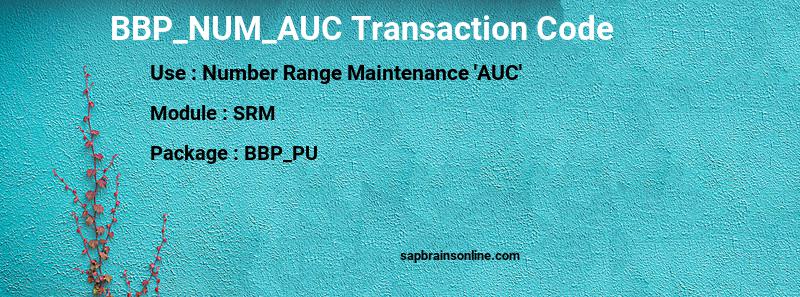 SAP BBP_NUM_AUC transaction code