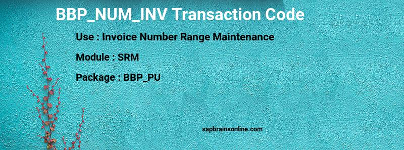 SAP BBP_NUM_INV transaction code