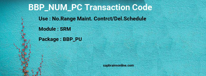 SAP BBP_NUM_PC transaction code