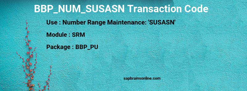 SAP BBP_NUM_SUSASN transaction code
