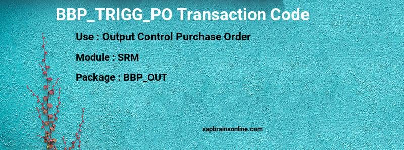 SAP BBP_TRIGG_PO transaction code