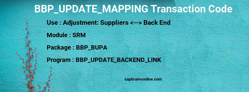 SAP BBP_UPDATE_MAPPING transaction code