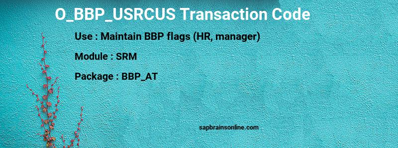SAP O_BBP_USRCUS transaction code