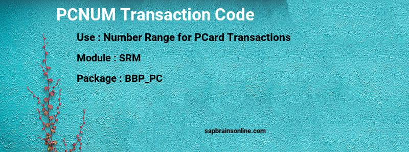 SAP PCNUM transaction code