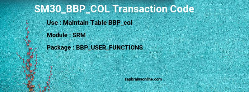 SAP SM30_BBP_COL transaction code