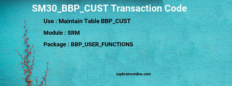 SAP SM30_BBP_CUST transaction code