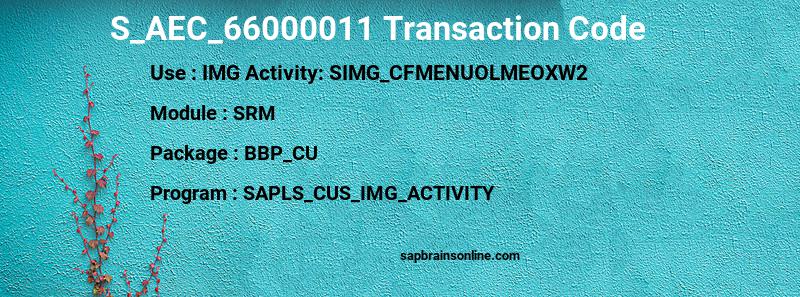 SAP S_AEC_66000011 transaction code