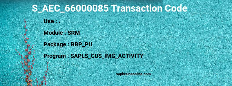 SAP S_AEC_66000085 transaction code