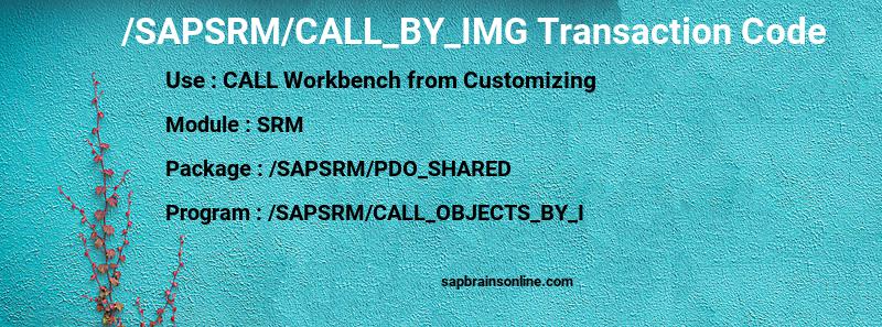 SAP /SAPSRM/CALL_BY_IMG transaction code