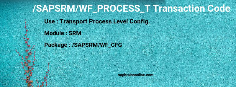 SAP /SAPSRM/WF_PROCESS_T transaction code
