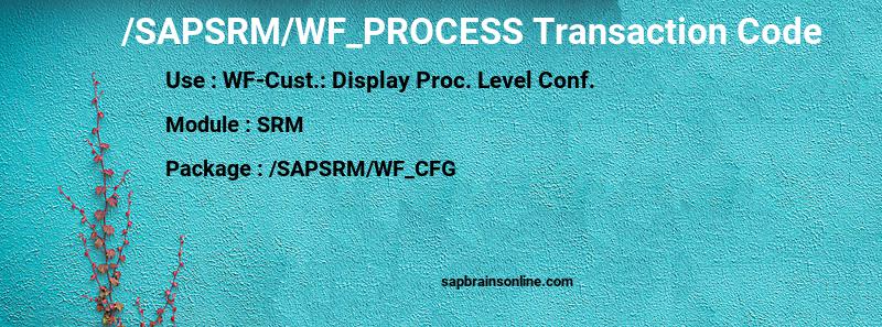 SAP /SAPSRM/WF_PROCESS transaction code