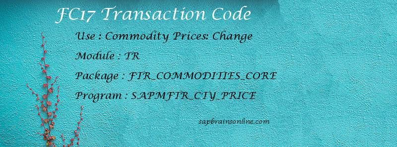SAP FC17 transaction code