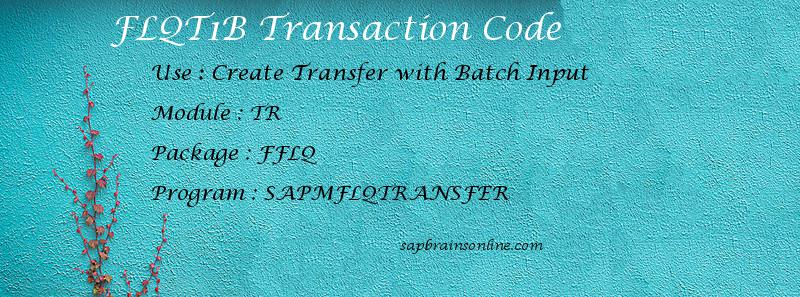 SAP FLQT1B transaction code