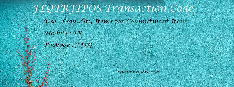 SAP FLQTRFIPOS transaction code