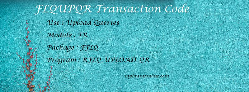 SAP FLQUPQR transaction code