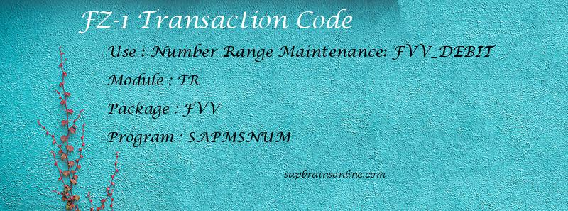 SAP FZ-1 transaction code