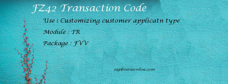 SAP FZ42 transaction code