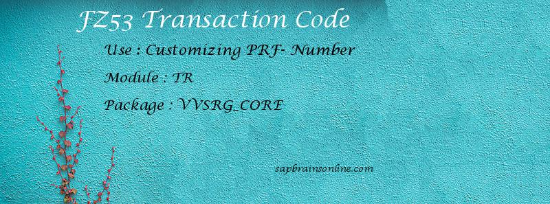 SAP FZ53 transaction code