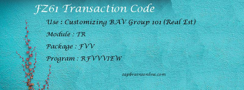SAP FZ61 transaction code
