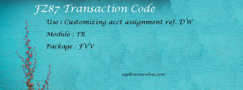 SAP FZ87 transaction code