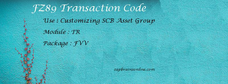 SAP FZ89 transaction code